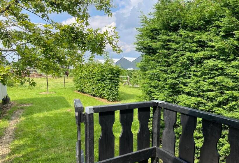 ベッドアンドブレックファースト Pipowagen Mamaloe