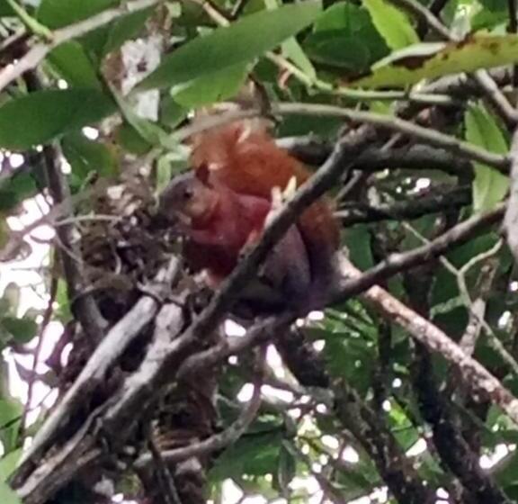 מלון כמוסות Eco Hospedaje Ata Ladrilleros