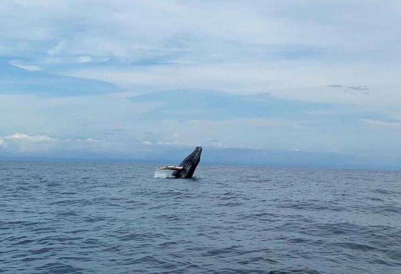 מלון כמוסות Eco Hospedaje Ata Ladrilleros