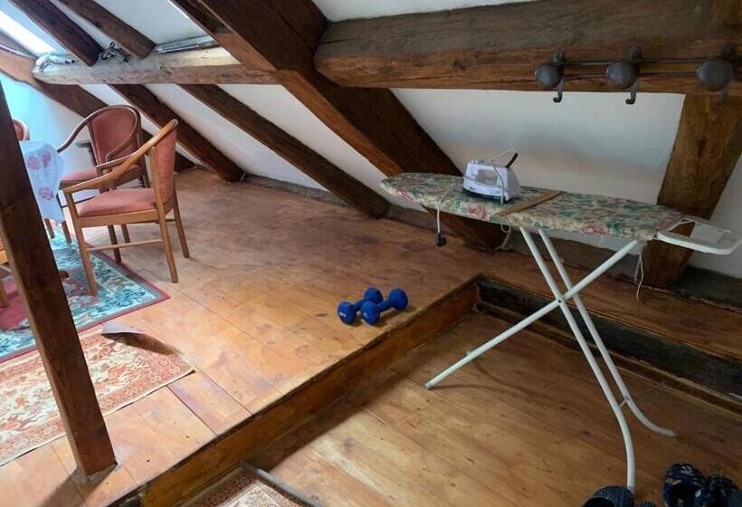 酒店 Ubytování Na Farmě