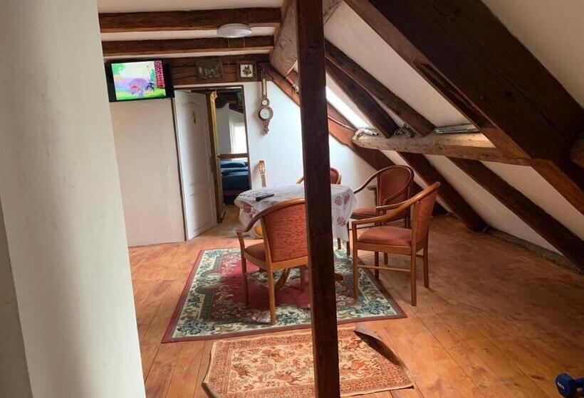 酒店 Ubytování Na Farmě