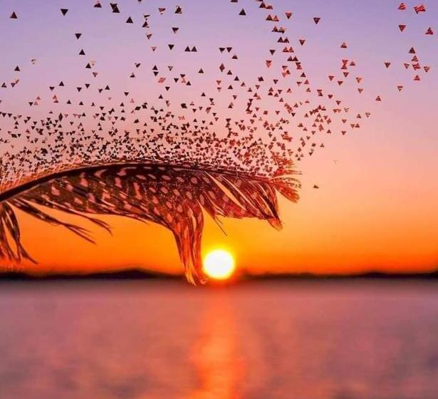 هتل Vintage Residency