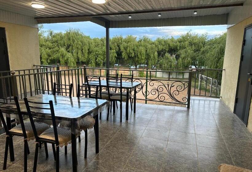 پانسیون альфа