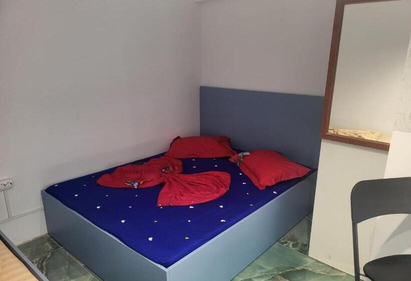 ペンション Confort Acf Tineretului