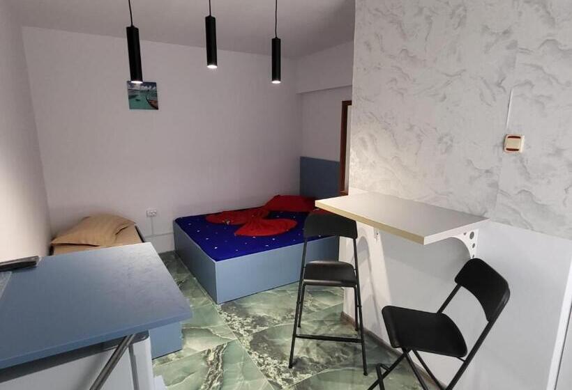 ペンション Confort Acf Tineretului