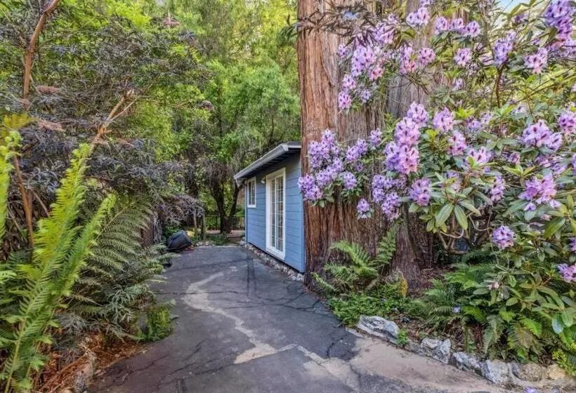 Majatalo Either Way Hideaway