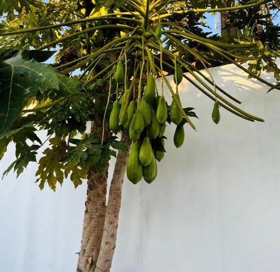 Pensão Hospedaria Lc Sanjuquila