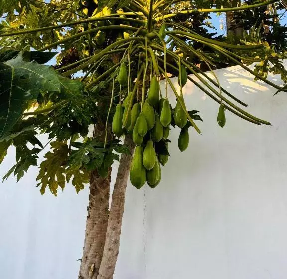 پانسیون Hospedaria Lc Sanjuquila