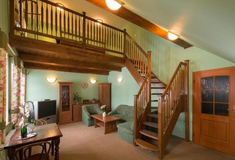 Пансион Penzion U černého čápa