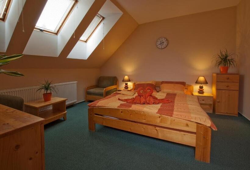 Пансион Penzion U černého čápa