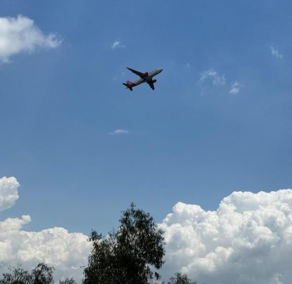 پانسیون Rosy Home