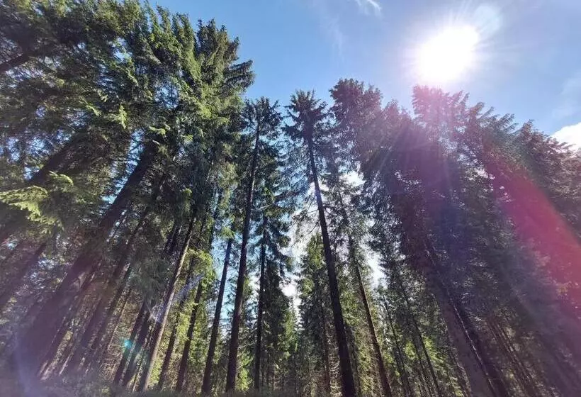 Retkeilymaja Gasthaus Talsperre  Gaststätte Und Pension