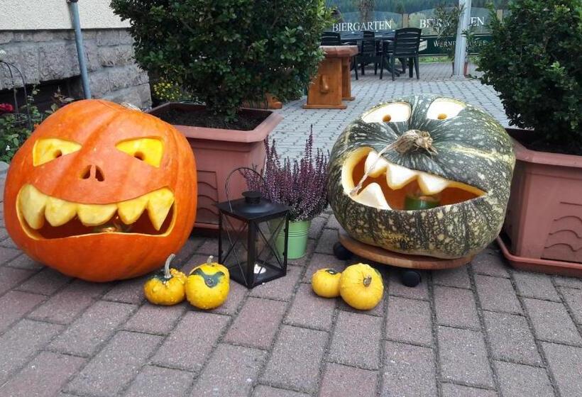 فندق صغير Gasthaus Talsperre  Gaststätte Und Pension