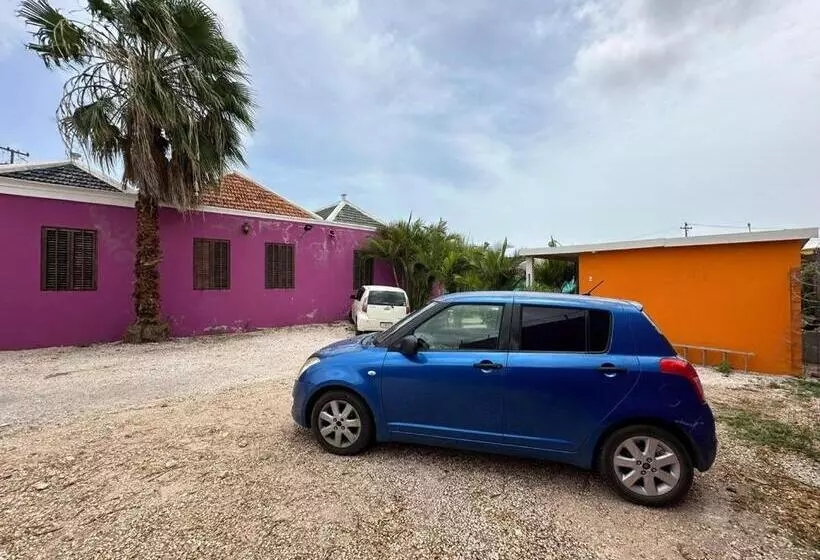 هاستل Studentenhuis   Casa 7