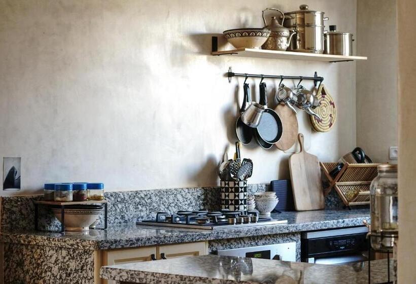 Herberge The Line Up