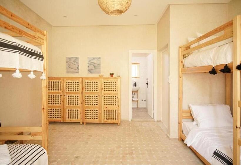 Herberge The Line Up