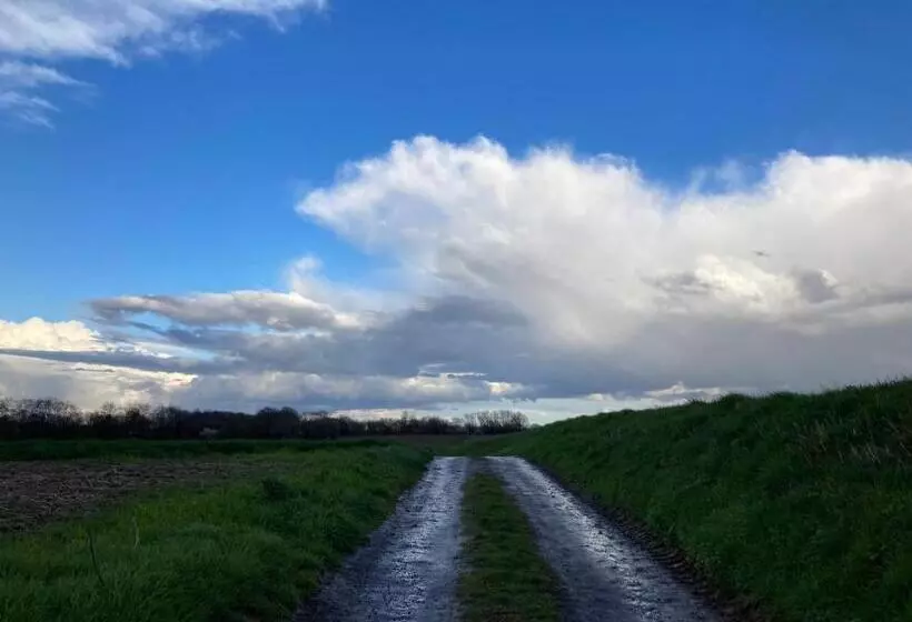 B&b Art Aviation 4épis