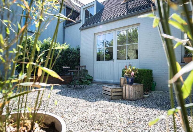 B&b Art Aviation 4épis