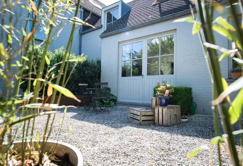 B&b Art Aviation 4épis