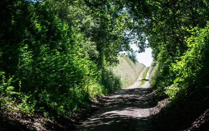 B&b Art Aviation 4épis