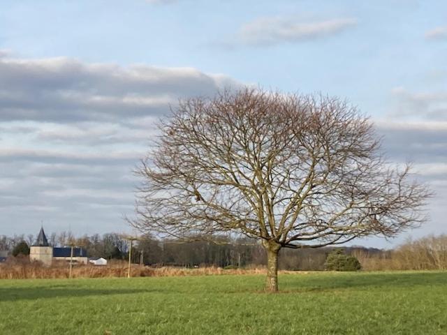 B&b Art Aviation 4épis