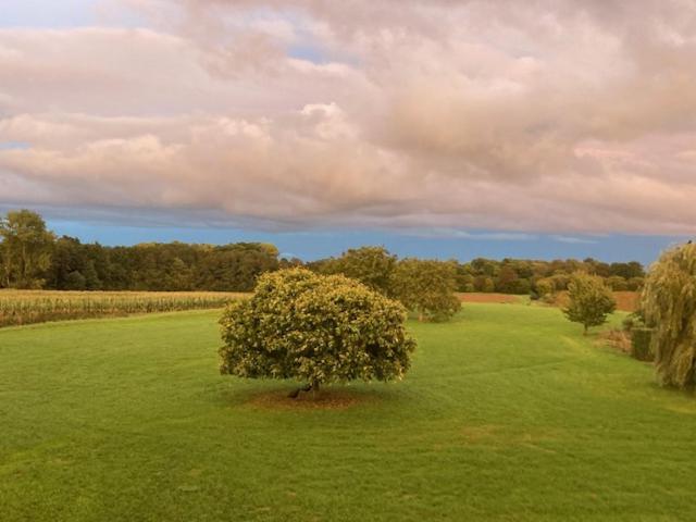 B&b Art Aviation 4épis