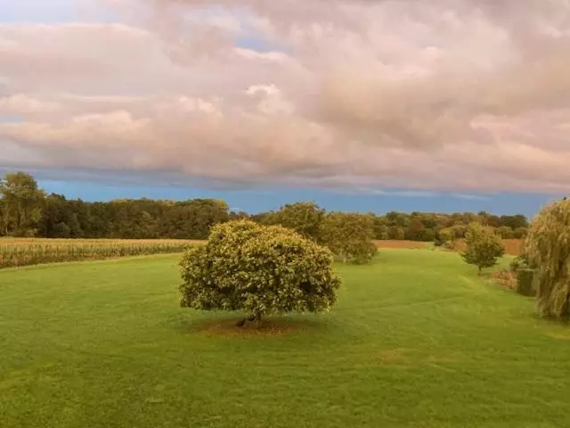 B&b Art Aviation 4épis