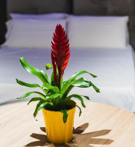 Arcolobello B&b Apart