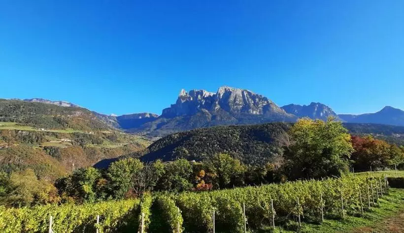 Aamiaismajoitus (B&B) Hofgut Antlas