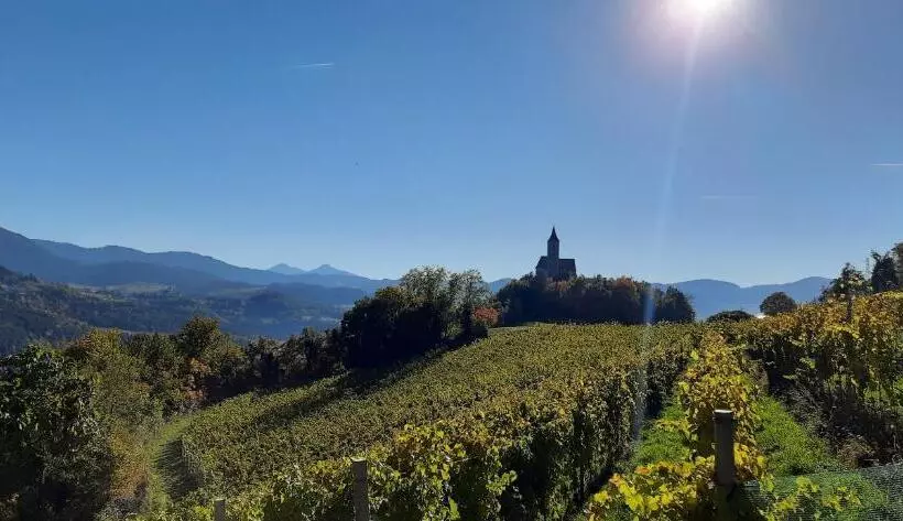 Aamiaismajoitus (B&B) Hofgut Antlas