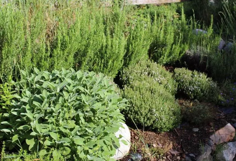 Aamiaismajoitus (B&B) Hofgut Antlas