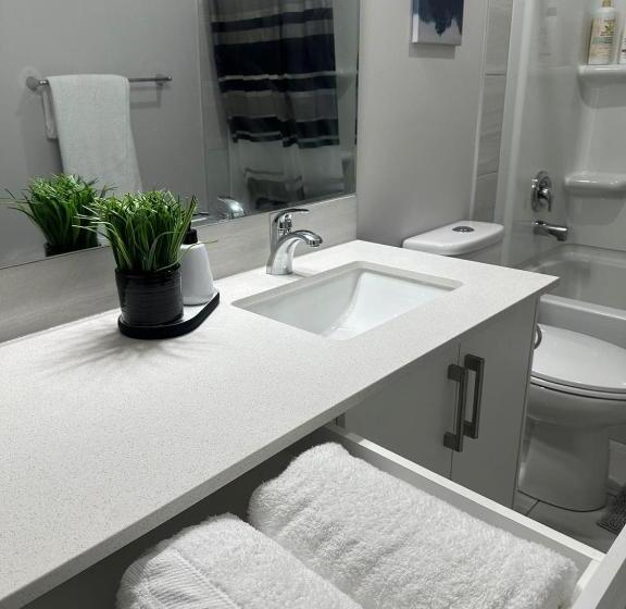 تختخواب و صبحانه Luxurious Home In Nw Calgary, Free Parking, High Speed Internet, Near Grocery And Airport