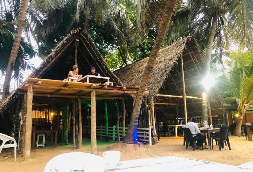 Honey Beach Hostel