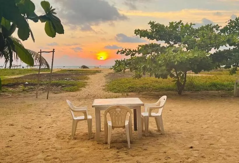 Honey Beach Hostel