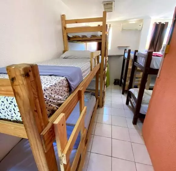 La Casita Hostel Praia Do Forte Bahia