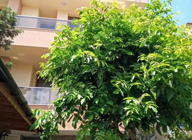 Majatalo Vila Mihnevi