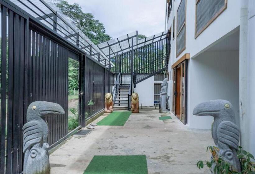 Studio With Ac, Smart Tv, Kitchen, Bath Pool 7