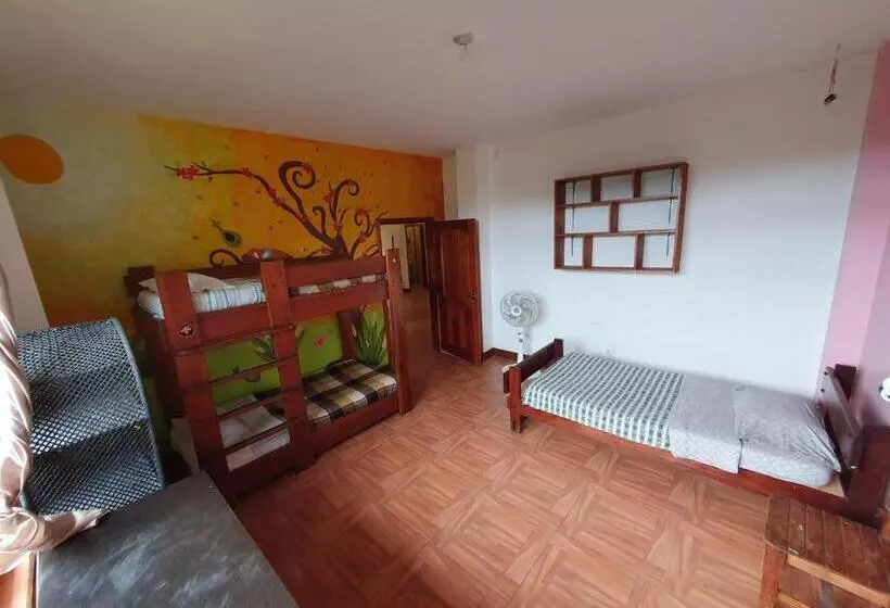ユースホステル La Villa Del Colibri   Misahualli