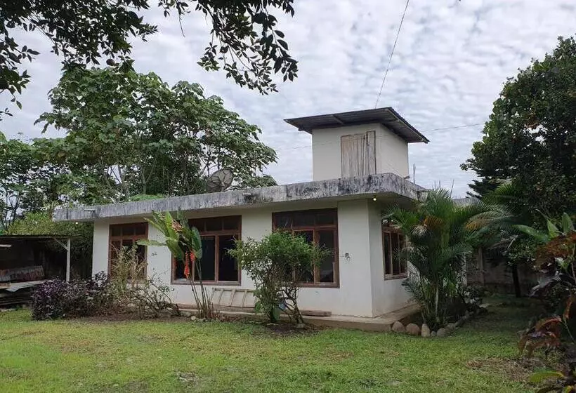 ユースホステル La Villa Del Colibri   Misahualli