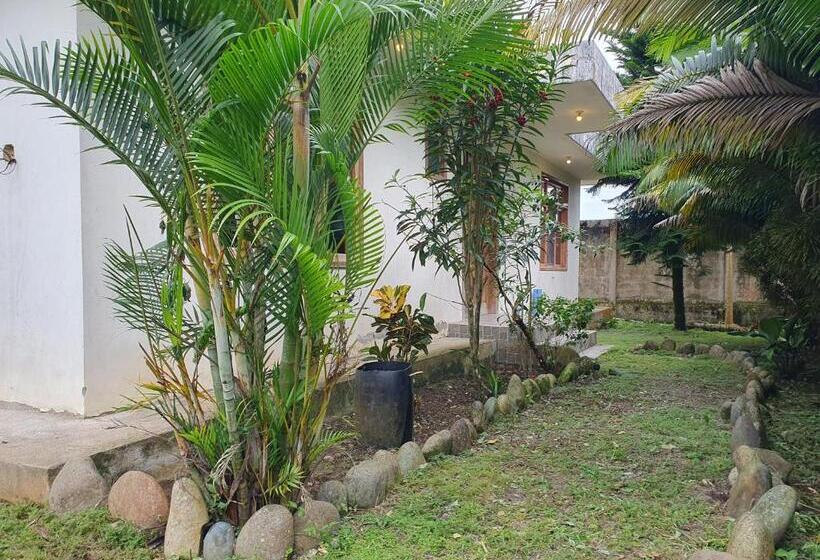 Hostel La Villa Del Colibri   Misahualli