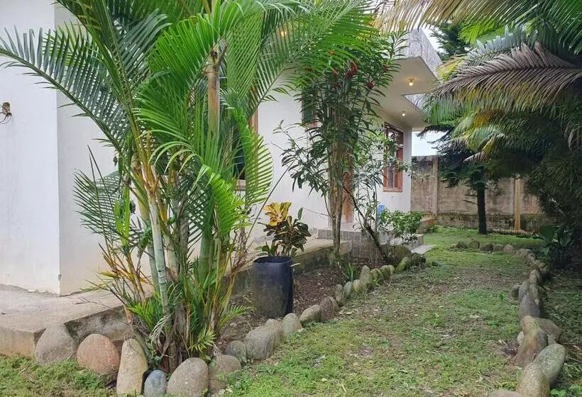 ユースホステル La Villa Del Colibri   Misahualli