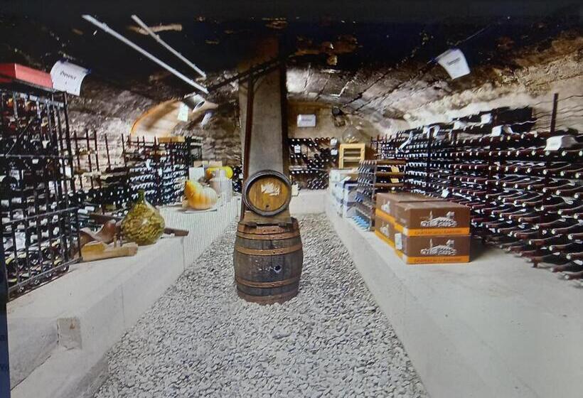 酒店 Le Jardin Des Thermes