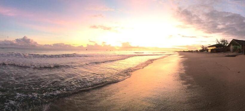 膳宿费 Mae Terra Du Brasil