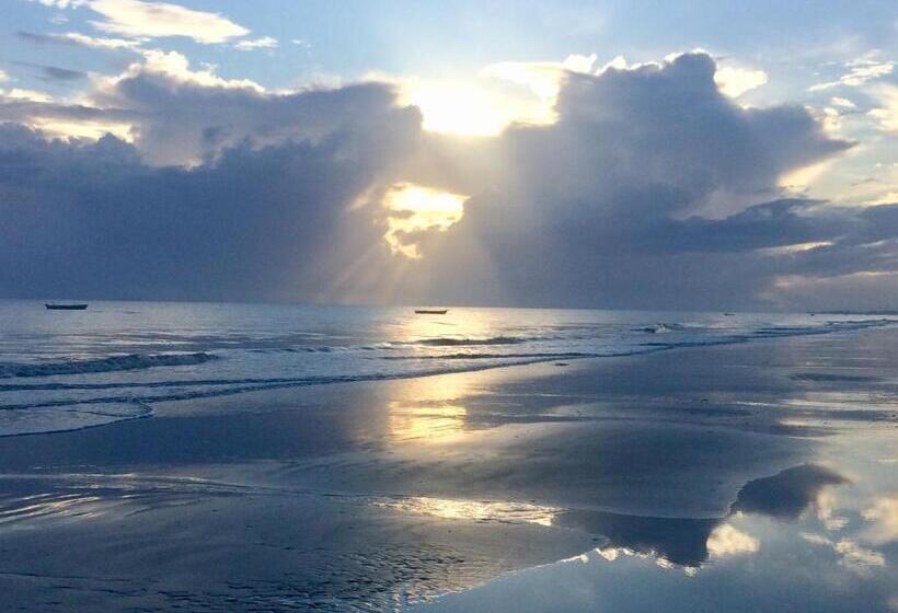 膳宿费 Mae Terra Du Brasil