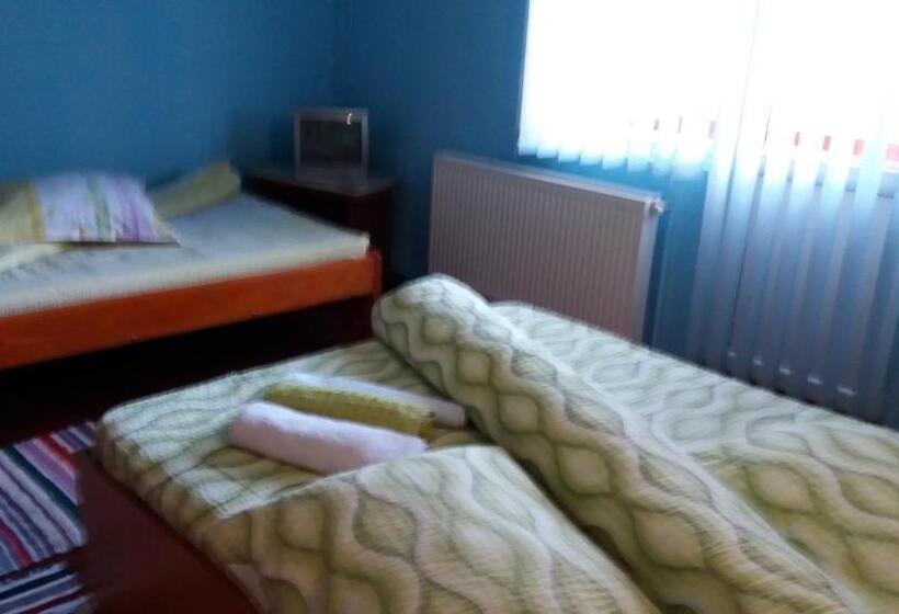 پانسیون Casa Andreea Maria