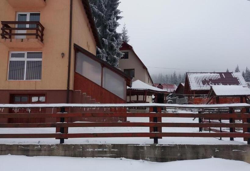 پانسیون Casa Andreea Maria