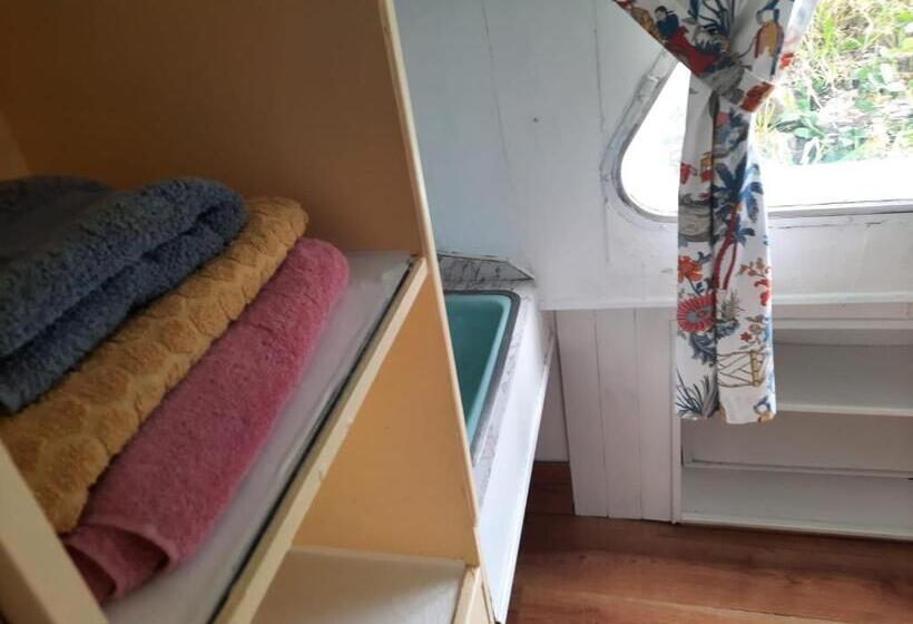 膳宿费 D Arc In The Park