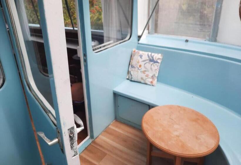 膳宿费 D Arc In The Park