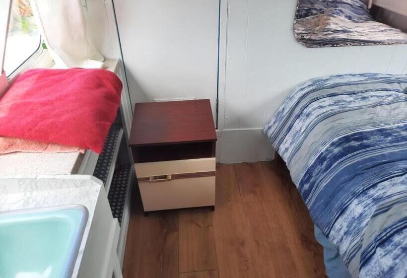 膳宿费 D Arc In The Park