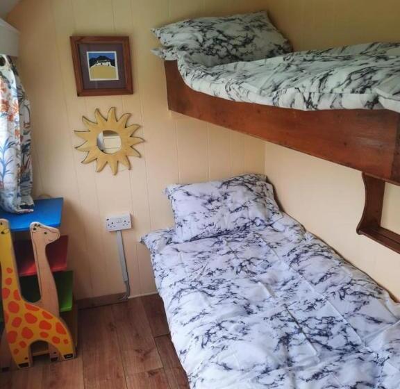 膳宿费 D Arc In The Park